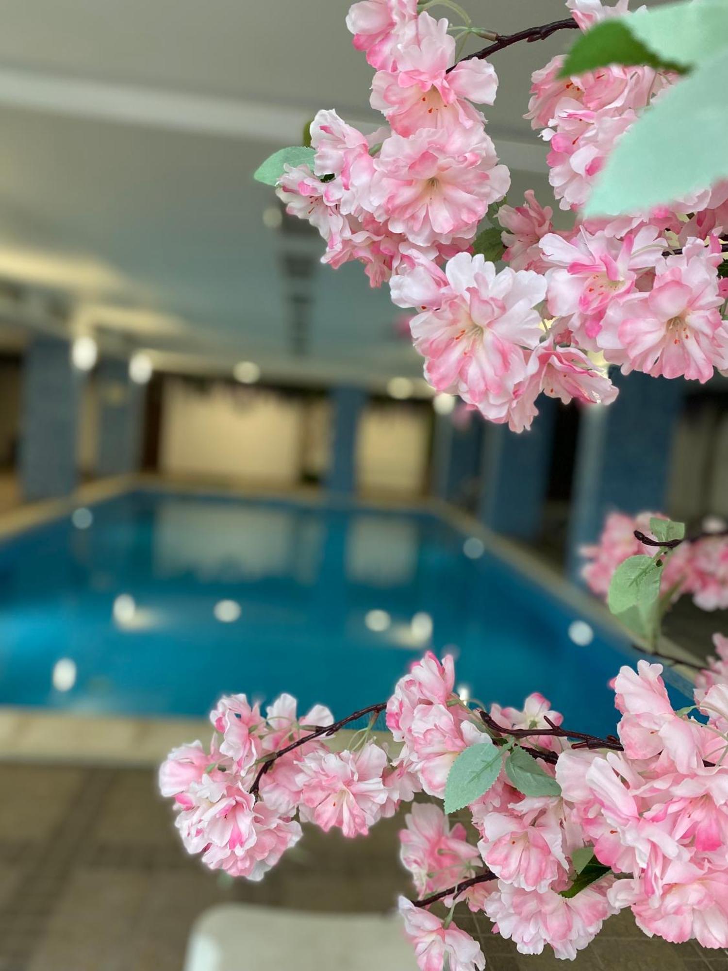 Complex Nero Aparthotel Παμπόροβο Εξωτερικό φωτογραφία